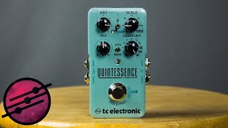 TC Electronic Quintessence Harmonizer Demo Ambient Guitar Gear Review [upl. by Wallinga578]