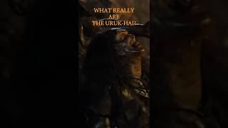 WHAT ARE THE URUKHAI lotr tolkien lordoftherings [upl. by Robinetta]