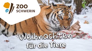 Weihnachten für die Tiere  Zoo Schwerin [upl. by Ahsilyt913]