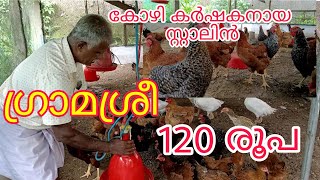 stanly poultry farming നാടൻ കോഴികൾ media craftPOULTRY FARMING KERALAgramasree chicken [upl. by Amzu]