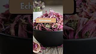 Health Boosting Herbs herbs healthbooster [upl. by Elok]