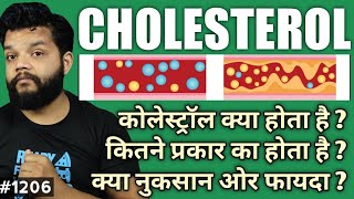 What Is Cholesterol In Hindi  HDL amp LDL Explained [upl. by Champ954]