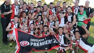 Match Breakdown 2014 Essendon Ford Division 1 Grand Final  Tullamarine v West Coburg [upl. by Iffar]