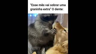 Quando o dentista cobra uma fortuna memes animaisengracados humor animaisdublados [upl. by Stodder]