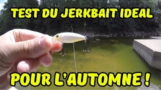 Je test le meilleur Jerkbait pour lautomne [upl. by Thomson568]