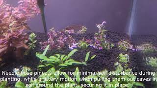 Rotala Macrandra Butterfly Mini Unboxing Prepping and Planting ThePlantGuy [upl. by Aninep545]