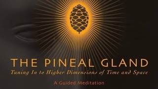 4 hr Pineal Gland Meditation 20 [upl. by Joan]