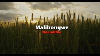 Malibongwe – Ndandifile Official Lyric Video [upl. by Ax]