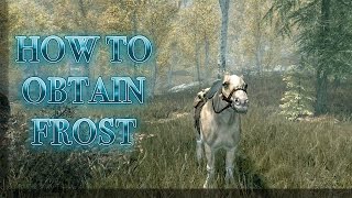 SKYRIMHOW TO OBTAIN THE UNIQUE HORSE FROST [upl. by Heaps]