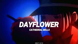 Dayflower • Cathedral Bells • Sub Español  Nana songs [upl. by Voss]