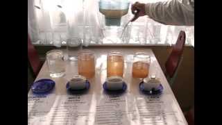 Aquaphor Brita Dafi Laica Water Filter Test  Part 3 [upl. by Ardnazxela]