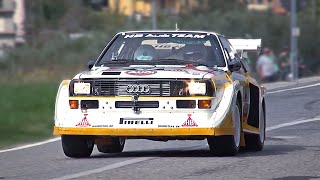 The BEST of Audi quattro S1 Group B Iconic 5cylinder amp Turbo Flutter sounds MUST HEAR [upl. by Cerelia]