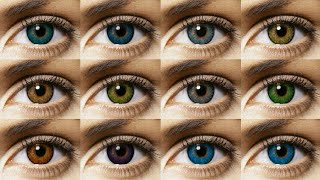 Freshlook Colorblends All 12 Colors Contact Lens Review [upl. by Orling]