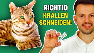 Krallen schneiden bei der Katze Tierarzt Ratschläge [upl. by Iddet955]