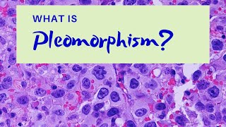 What is Pleomorphism  Pathology mini tutorial [upl. by Anuahc]