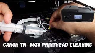 Canon Tr 8620  Printhead Cleaning  Not Printing Black Or Color [upl. by Harima]