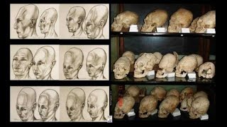 Nonsense PNAS Tabloid Science Journalism Doesnt Explain Elongated Skulls Found Around Germany [upl. by Honor972]