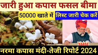 2024 में कपास के भाव में तेजी  आज का नरमा भाव  kapas ka bhav today  narma ka bhav today  Cotton [upl. by Ally]