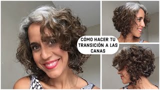 CÓMO HACER TU TRANSICIÓN A LAS CANAS  CONSEJOS  GREY HAIR [upl. by Karia]