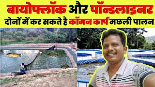 छोटे तालाब पर कॉमन कार्प से बंपर मुनाफा Common Carp Fish Farming  Koytur Fish Farming India Raipur [upl. by Peyter]