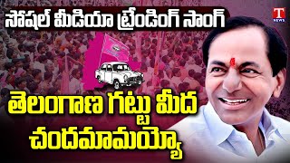 Telangana Gattu Meeda Chandamamayyo Social Media Trending Song  BRS Songs  CM KCR Songs  T News [upl. by Ahsemak321]