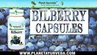 Bilberry Capsules Medicinal Uses Health Benefits and Side effects [upl. by Celka]