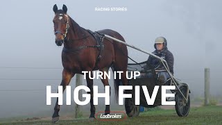 Turn It Up Is Back For His Fifth Tilt At The Ladbrokes Blacks A Fake [upl. by Nytnerb]