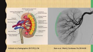 Parenchymal liver biopsy parenchymal kidney biopsy [upl. by Resor]