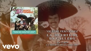 Vicente Fernández  La Muerte de un Gallero Cover Audio [upl. by Grussing]