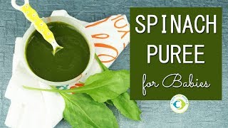 Palak Spinach Puree for Babies  6 months baby food [upl. by Eelaras]