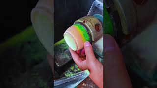 How tea cups are made from bamboo fnbanglasociety funny funnbanglafb [upl. by Cyndia268]