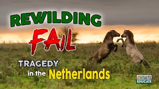 Rewilding Fail  Tragedy in the Netherlands  Oostvaardersplassen [upl. by Nomra]