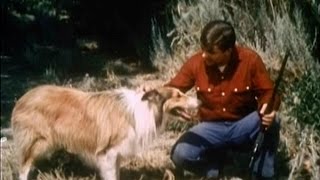 Lassie  Episode 409  quotThe Friendlessquot  Season 12 Ep 24  02271966 [upl. by Leisha]