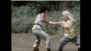 Secret of shaolin kung fu  Final fight scene [upl. by Strait1]