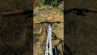 😱 MON VTT A DES OPTIONS DE DINGUE enduromtb mtb vtt mountainbike enduro vttenduro bike velo [upl. by Thain]