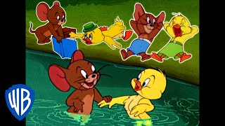 Tom amp Jerry  Best of Jerry and Little Quacker  Classic Cartoon Compilation  WB Kids [upl. by Etsyrk295]