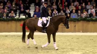 Quaterback by Quaterman Stallion Show Sosath 2013 [upl. by Atiuqihs920]