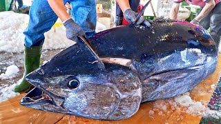 Fastest cutting speed！Giant Bluefin Tuna Cut in 5 minutes Braised Bluefin Tuna Eyes蘇澳最快刀！巨大黑鮪魚切割技巧 [upl. by Laumas]