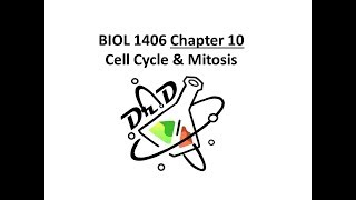 Chapter 10 Cell Cycle and Mitosis [upl. by Marmawke396]