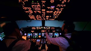 Flying In Extreme Weather Conditions  Heavy Snow  Boeing 737 Go Around Cockpit View [upl. by Shih273]