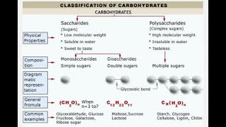 types of carbohydrates [upl. by Lubbock]