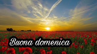 Buongiorno ❣ e buona domenica 🌞 [upl. by Snapp]