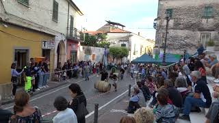 Casale di Carinola  festa della vendemmia 2024  palio delle botti [upl. by Llerehs]