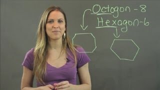 How Is an Octagon Different From a Hexagon  Math Tutorials [upl. by Emia]