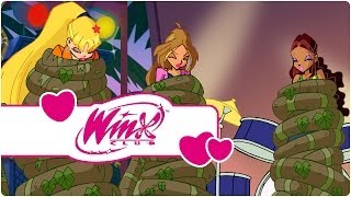 Winx Club  Saison 4 Épisode 18  La nature en colère clip2 [upl. by Rand]