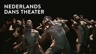 Nederlands Dans Theater Apr 3 – 6  New York City Center [upl. by Mcconaghy]