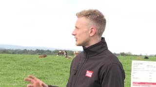 Tullamore Farm open day  the herd [upl. by Tamqrah813]