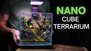 I Made a BREATHTAKING Nano Cube Terrarium Here’s How [upl. by Rengia]