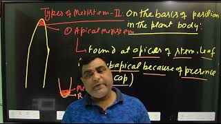 TYPES OF MERISTEMATIC TISSUE 2nd for NEETTGT ll PGT ll LT GIC BIOLOGY Assistant professor [upl. by Leahcimnaj]