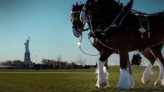 Budweiser Clydesdales 911 Tribute Ad Super Bowl 2011 [upl. by Millhon]